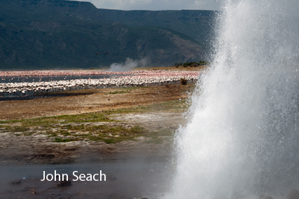 bogoria