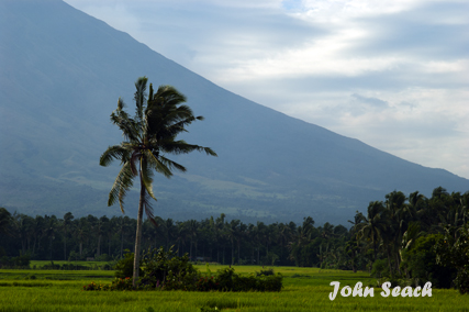 mayon volcano