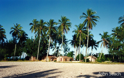 ngatendo island