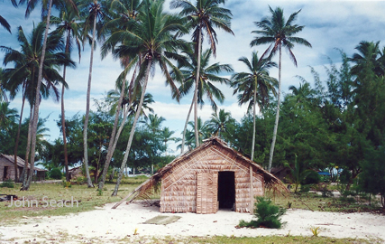 ngatendi island, reef islands